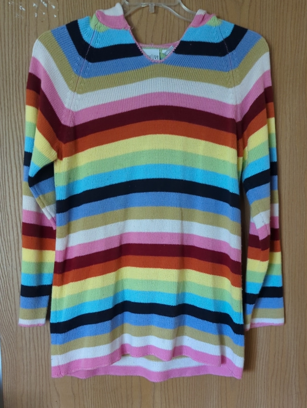 Multi Colored Striped Hooded V-neck Sweater